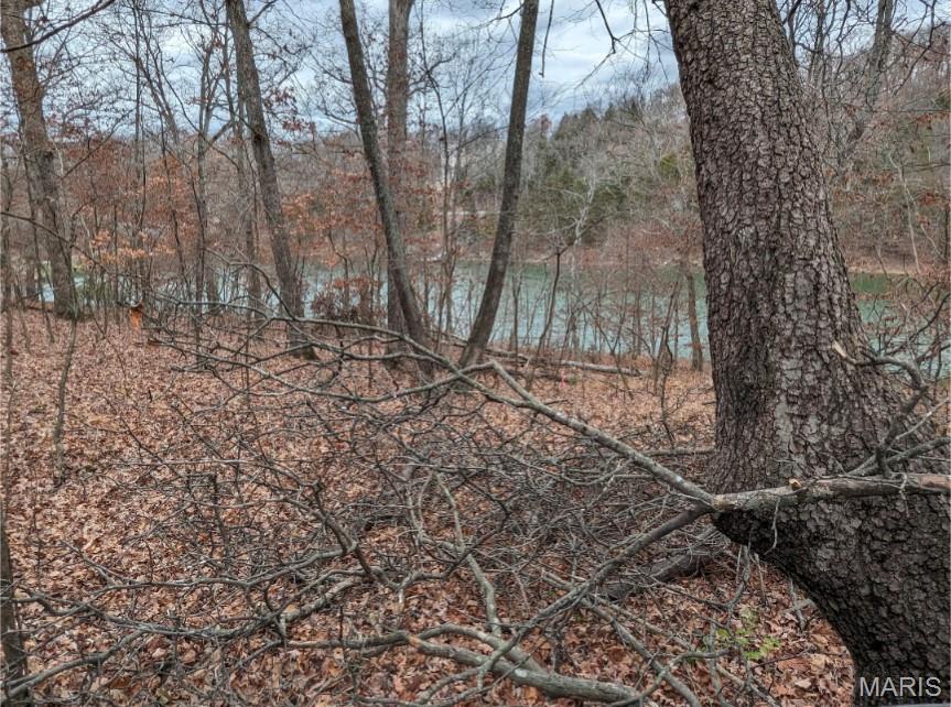 Lake Sherwood Estates - Land