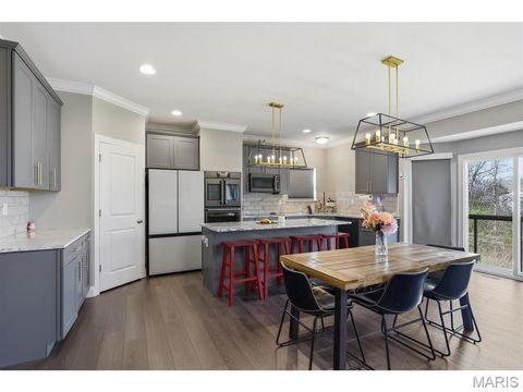 Tiny photo for 5013 Corisande Woods Drive, Fenton, MO 63026 (MLS # 26018630)