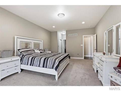 Tiny photo for 5013 Corisande Woods Drive, Fenton, MO 63026 (MLS # 26018630)