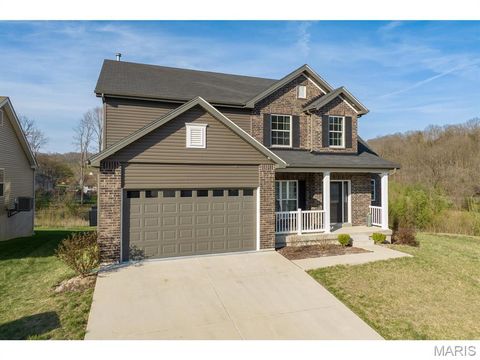 Tiny photo for 5013 Corisande Woods Drive, Fenton, MO 63026 (MLS # 26018630)