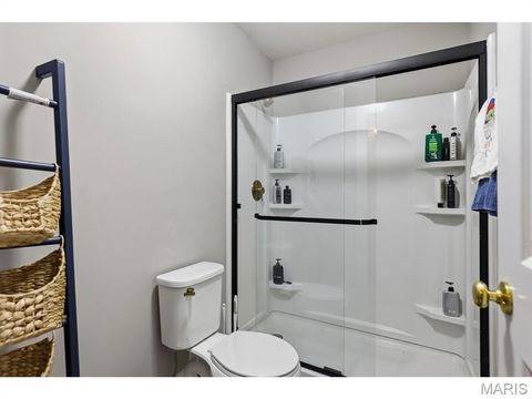 Tiny photo for 5013 Corisande Woods Drive, Fenton, MO 63026 (MLS # 26018630)