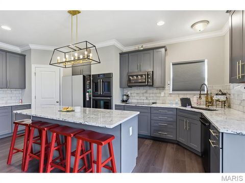 Tiny photo for 5013 Corisande Woods Drive, Fenton, MO 63026 (MLS # 26018630)