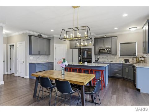 Tiny photo for 5013 Corisande Woods Drive, Fenton, MO 63026 (MLS # 26018630)