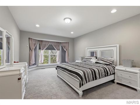 Tiny photo for 5013 Corisande Woods Drive, Fenton, MO 63026 (MLS # 26018630)