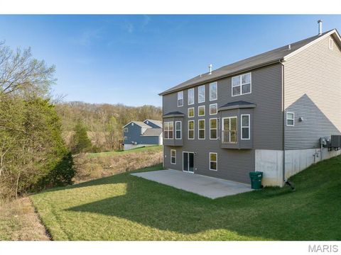 Tiny photo for 5013 Corisande Woods Drive, Fenton, MO 63026 (MLS # 26018630)