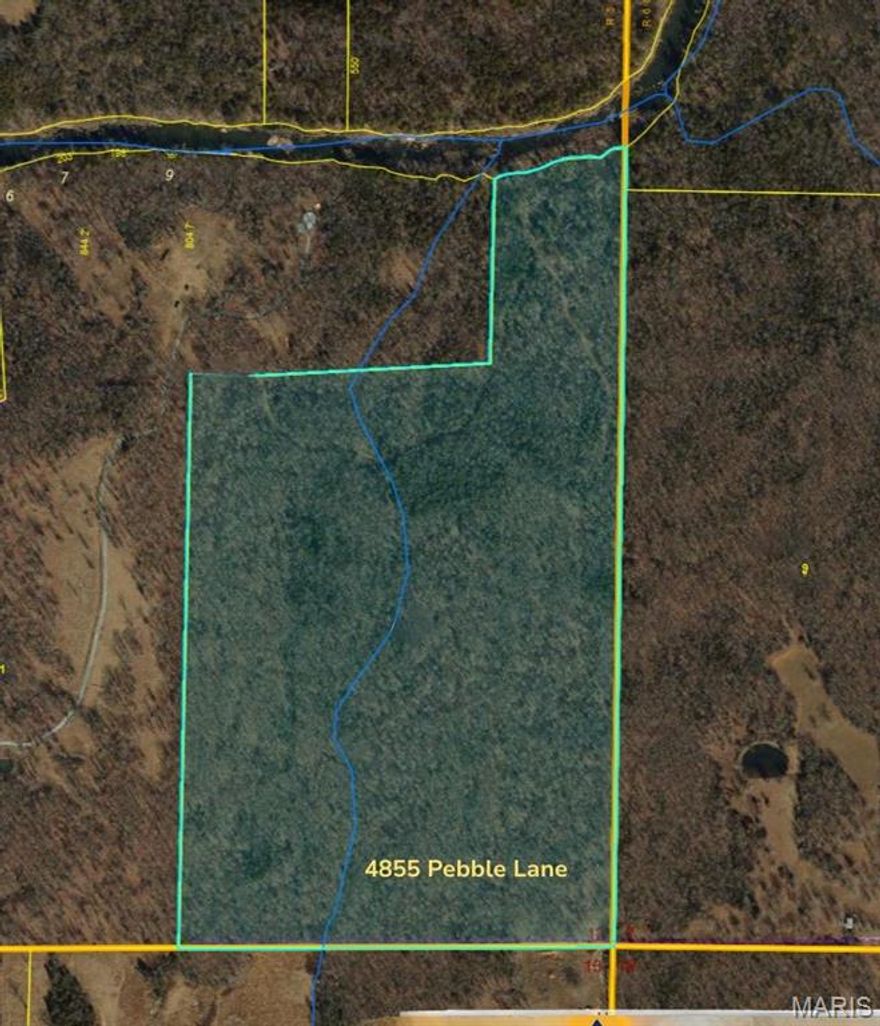 If you’ve been searching for acreage that offers recreation, privacy, river access, and a prime building location — this one checks all the boxes. This 85± acre tract is predominantly wooded and adjoins the St. Francois River, giving you direct access to beautiful stretches of water perfect for swimming, relaxing, and exploring.

Natural features include rocky glades, seasonal creeks, mature timber, and established trails that wind throughout the property. Open clearings provide great spots for camping, food plots, or future homesites. Wildlife is abundant, with whitetail deer, turkey, wild hogs, bobcats, and even the occasional black bear traveling the river corridor through Southeast Missouri — making this an excellent setup for hunting or simply enjoying nature.

The land is mostly level with gentle terrain sloping toward the river, offering multiple potential building sites with scenic surroundings. Electric is nearby, and access is secured by a well-maintained gated easement road.

Conveniently located just 15 minutes from Farmington or Fredericktown, this property combines seclusion with accessibility. Tracts with river frontage, usable terrain, and this much recreational appeal are hard to find — don’t miss the opportunity.
