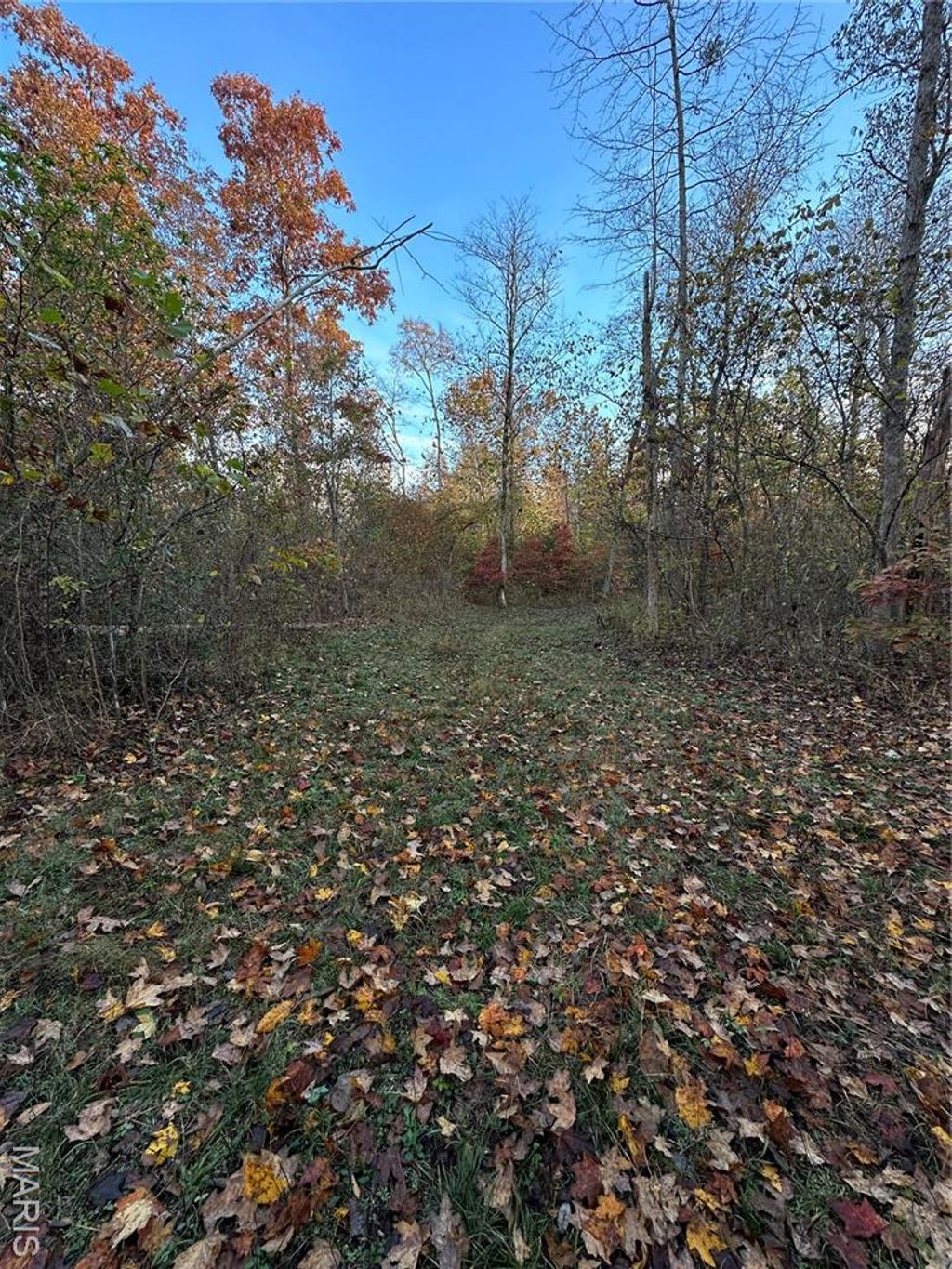 Photo of TBD Tract 3 Bobwhite Lane, Fairdealing, MO 63939 (MLS # 25080212)