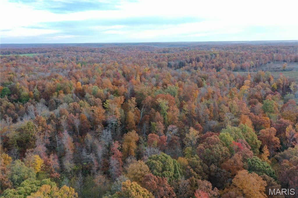 Photo of TBD Tract 3 Bobwhite Lane, Fairdealing, MO 63939 (MLS # 25080212)