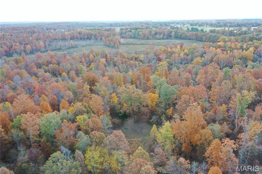 Photo of TBD Tract 3 Bobwhite Lane, Fairdealing, MO 63939 (MLS # 25080212)