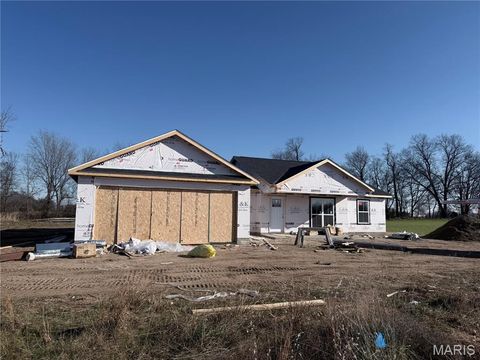 13 Perry Drive Benton MO 63736