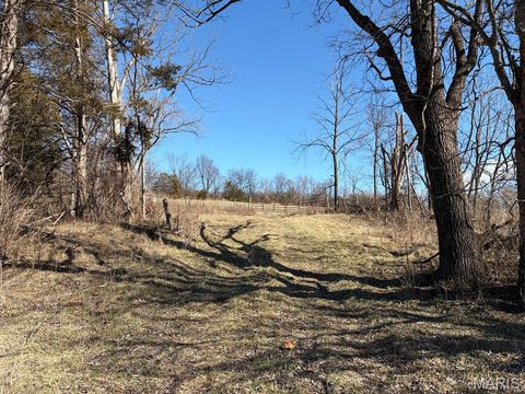 Tiny photo for 00 Bridle Lane, New Haven, MO 63068 (MLS # 26023903)