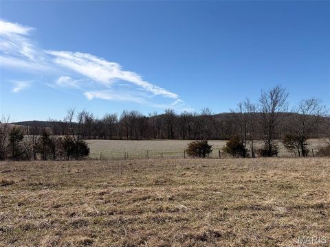 Tiny photo for 00 Bridle Lane, New Haven, MO 63068 (MLS # 26023903)