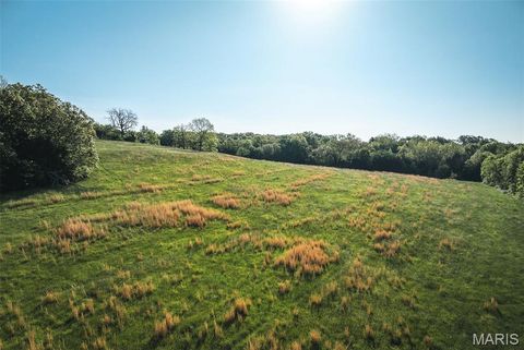 Tiny photo for 00 Bridle Lane, New Haven, MO 63068 (MLS # 26023903)