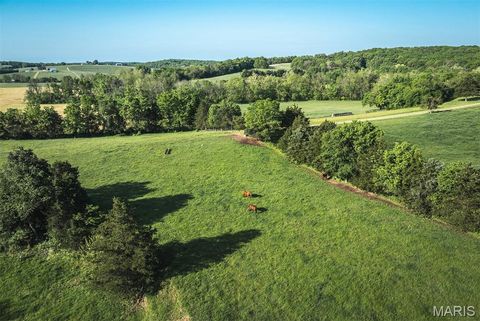 Tiny photo for 00 Bridle Lane, New Haven, MO 63068 (MLS # 26023903)