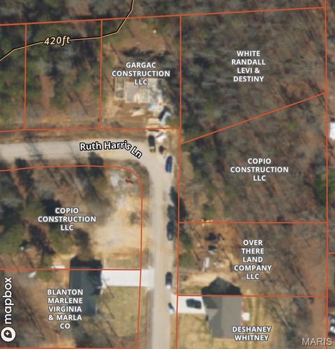 Photo of 233 Ruth Harris Lane, Poplar Bluff, MO 63901 (MLS # 25079915)