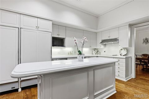 Tiny photo for 11 Chatfield Place Road, Creve Coeur, MO 63141 (MLS # 25071138)