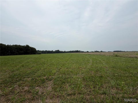 Tiny photo for 32 Hickory Lick Rd., Wright City, MO 63390 (MLS # 26053696)