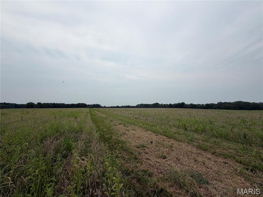 32.69 Acres Hickory Lick Rd.