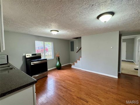 Tiny photo for 1210 Pine Street, Leadwood, MO 63653 (MLS # 26019274)