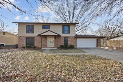 1928 Raintree Drive Imperial MO 63052