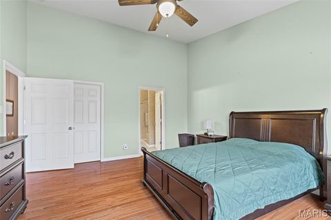 Tiny photo for 104 Amiot Court, Chesterfield, MO 63146 (MLS # 25078736)