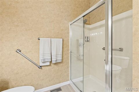 Tiny photo for 104 Amiot Court, Chesterfield, MO 63146 (MLS # 25078736)