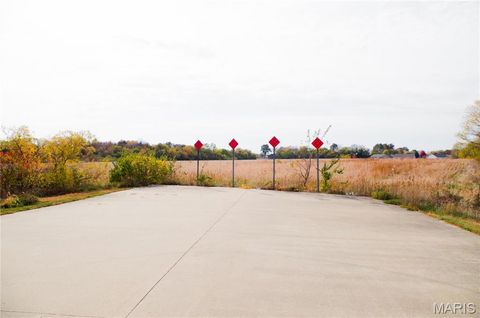 Tiny photo for 312 Pike County Road, Bowling Green, MO 63334 (MLS # 24069264)