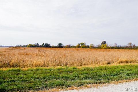 Tiny photo for 312 Pike County Road, Bowling Green, MO 63334 (MLS # 24069264)
