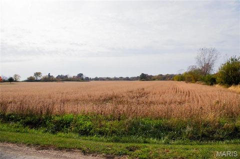 Tiny photo for 312 Pike County Road, Bowling Green, MO 63334 (MLS # 24069264)