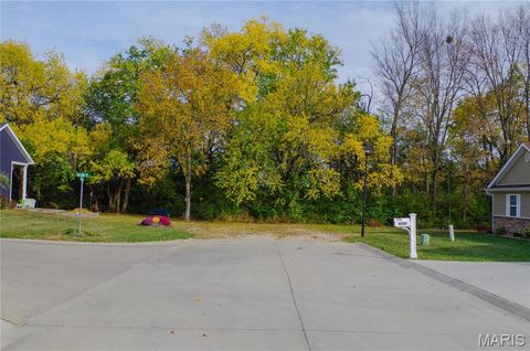 Tiny photo for 312 Pike County Road, Bowling Green, MO 63334 (MLS # 24069264)