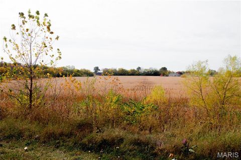 Tiny photo for 312 Pike County Road, Bowling Green, MO 63334 (MLS # 24069264)