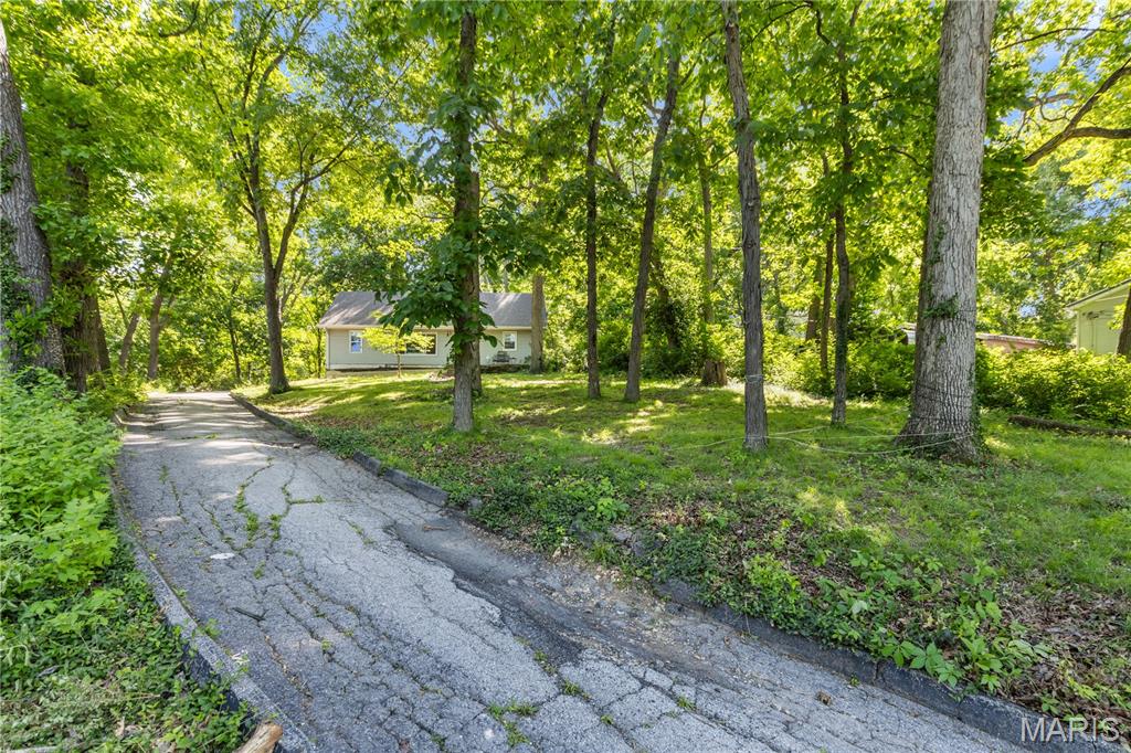 Fenton Forest - Residential