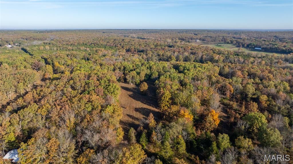 Photo of 000 Oak Forest Road, Bland, MO 65014 (MLS # 25079247)