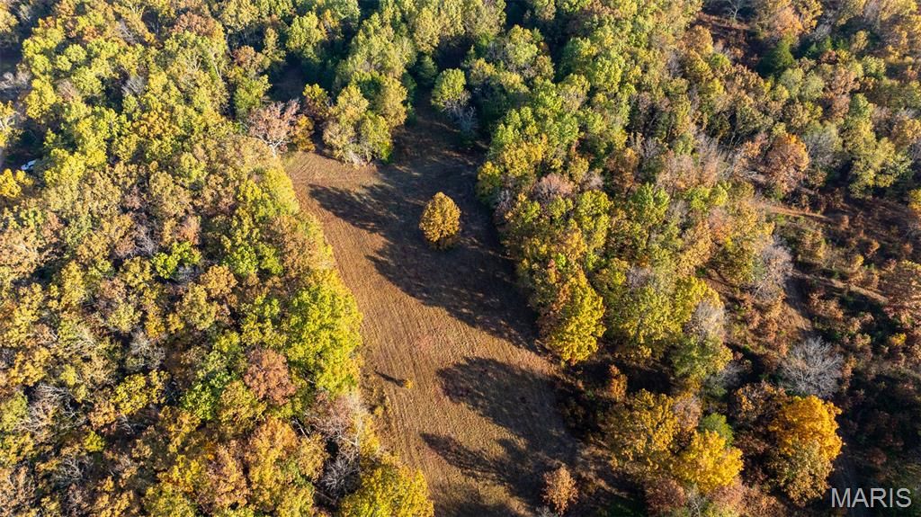 Photo of 000 Oak Forest Road, Bland, MO 65014 (MLS # 25079247)