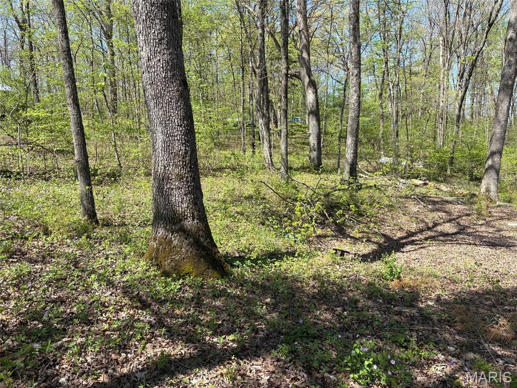 Pinnacle Lake Estates - Land