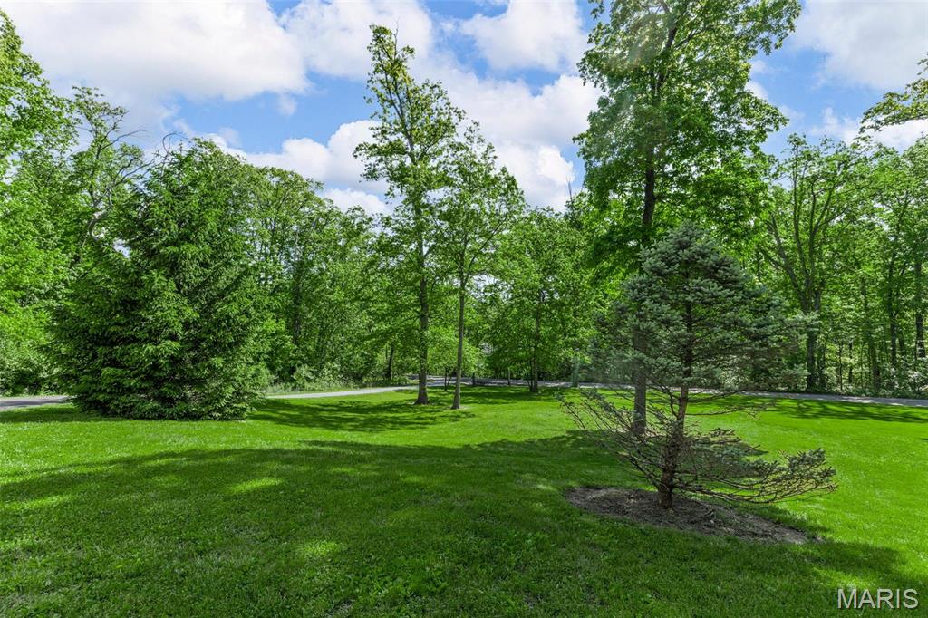 2453 Lone Trail Drive