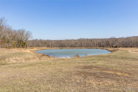 Tiny photo for 1044 Madison 9203, Fredericktown, MO 63645 (MLS # 26011060)