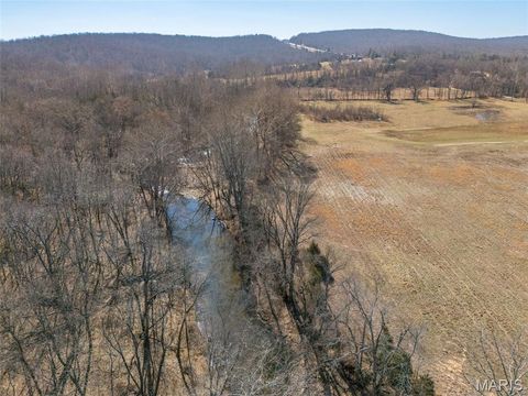 Tiny photo for 1044 Madison 9203, Fredericktown, MO 63645 (MLS # 26011060)