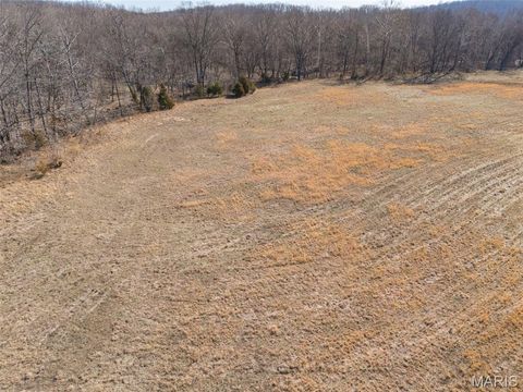 Tiny photo for 1044 Madison 9203, Fredericktown, MO 63645 (MLS # 26011060)