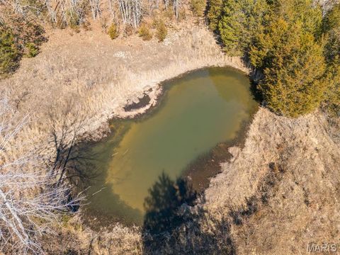 Tiny photo for 1044 Madison 9203, Fredericktown, MO 63645 (MLS # 26011060)