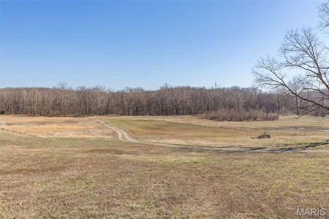 Tiny photo for 1044 Madison 9203, Fredericktown, MO 63645 (MLS # 26011060)