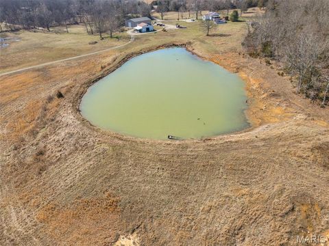 Tiny photo for 1044 Madison 9203, Fredericktown, MO 63645 (MLS # 26011060)