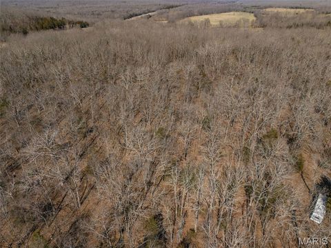 Tiny photo for 1044 Madison 9203, Fredericktown, MO 63645 (MLS # 26011060)