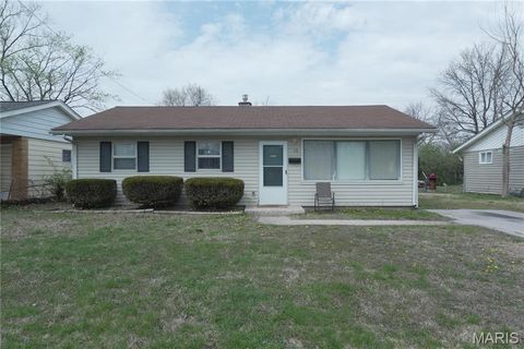 19 Leonard Drive East St Louis IL 62206