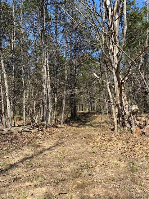 Tiny photo for 7711 Dittmer Road, Dittmer, MO 63023 (MLS # 26018842)