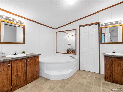 Tiny photo for 7711 Dittmer Road, Dittmer, MO 63023 (MLS # 26018842)