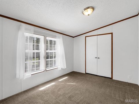 Tiny photo for 7711 Dittmer Road, Dittmer, MO 63023 (MLS # 26018842)