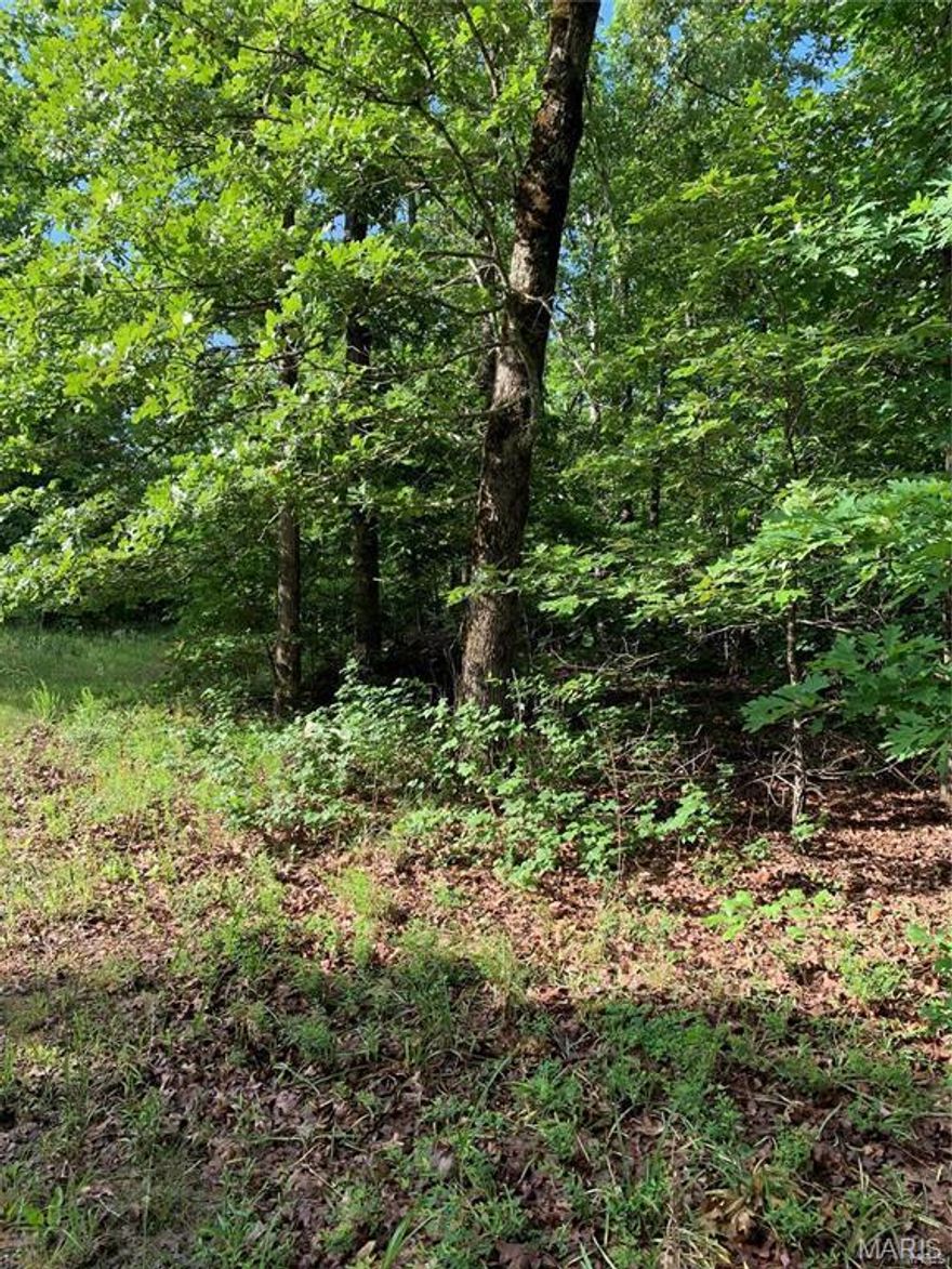 So many possibilities with this property! How do you find a large parcel of 120 acres m/l and Mark Twain National forest on 3 sides? This property has been untouched for many years. The entrance is off U.S 160 Hwy and then on county maintained road. You decide what you want from this, build your dream home or keep this natural beauty as it is. There are no buildings on the property.If you enjoy hunting, this wooded property  has it, deer, turkey, and more. Come find your piece of heaven right here! Listed at $325,000.00