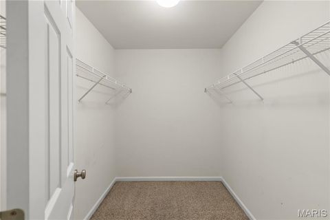 Tiny photo for 801 Caspian Drive, Wentzville, MO 63385 (MLS # 25074271)