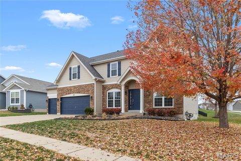 Tiny photo for 801 Caspian Drive, Wentzville, MO 63385 (MLS # 25074271)